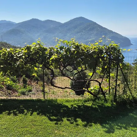 La Giulia Like Apart Otel